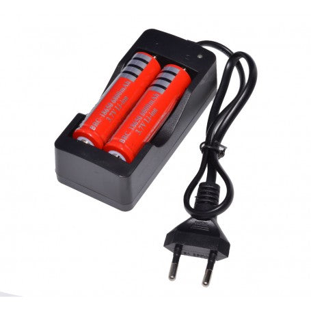 Incarcator de retea 100-240V cu 2 acumulatori Li-ion 18650 3.7V inclusi in pachet