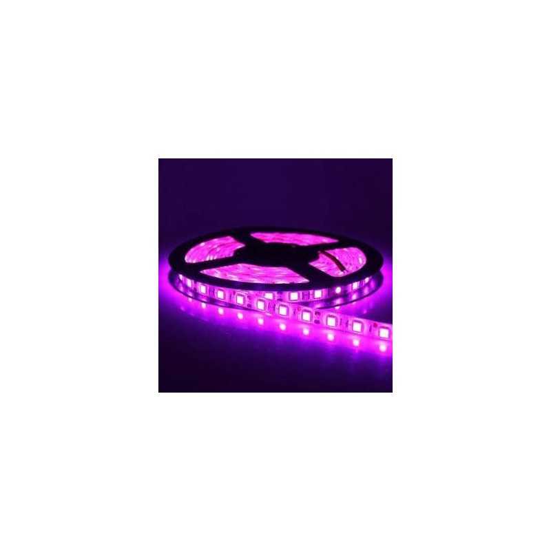 Banda LED violet desfasurata partial, chipuri SMD 2835 vizibile, lumina uniforma pe toata lungimea