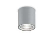Plafoniera LED aplicata pe tavan, corp cilindric din aluminiu gri, montaj exterior, IP44, design compact industrial