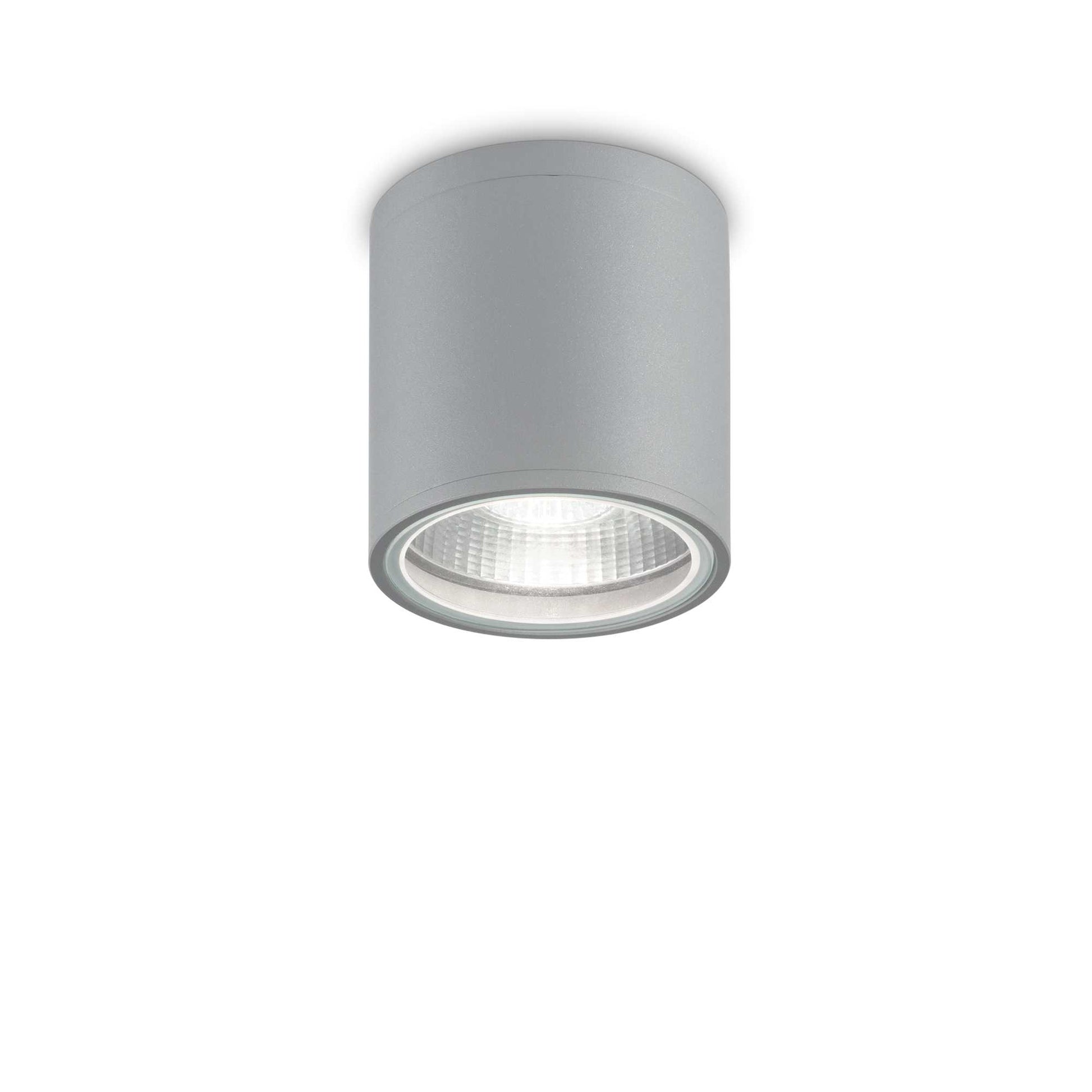 Plafoniera LED aplicata pe tavan, corp cilindric din aluminiu gri, montaj exterior, IP44, design compact industrial