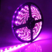 Banda LED violet 12V, 120 LED/m, IP20, rola 5m, lumina violet intensa uniforma pentru ambient interior